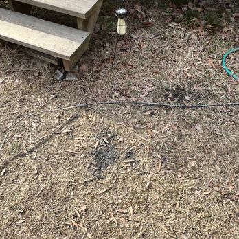 Home Town Handyman Services - Paint spots in the grass - Handyman Near Me Home Town Handyman Services - Paint spots in the grass - Handyman Near Me
