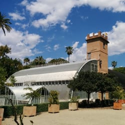 Jardí Botànic - Hivernacle
