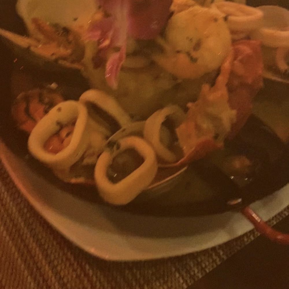 Donjito - Paella - Latin American Near Me - Mamaroneck, New York