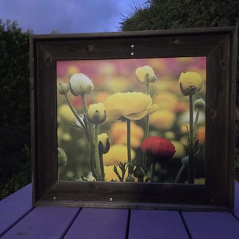 The Flower Fields - Venues & Event Spaces Near Me - Carlsbad, California