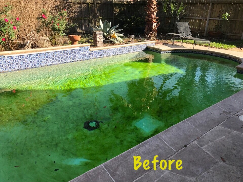 PINCH A PENNY Updated September 2024 10 Reviews 12225 Westheimer