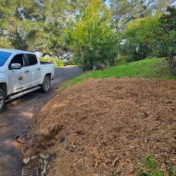 Calioax Tree Service - After Stump grinding
(Saratoga) - Tree Services Near Me - Los Gatos, California Calioax Tree Service - After Stump grinding
(Saratoga) - Tree Services Near Me - Los Gatos, California