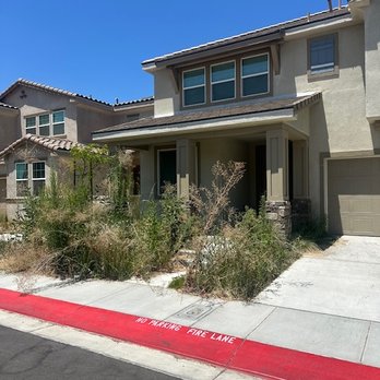 Gomez Lawn and Tree Service - Before - Tree Services Near Me - Jurupa Valley, California Gomez Lawn and Tree Service - Before - Tree Services Near Me - Jurupa Valley, California