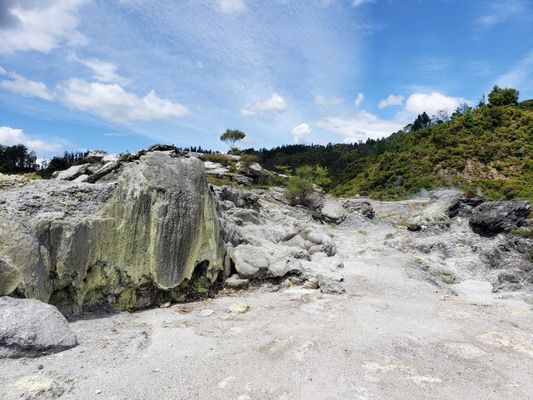 Te Puia - Rotorua, NZ by null