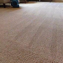 ED Carpet Cleaning