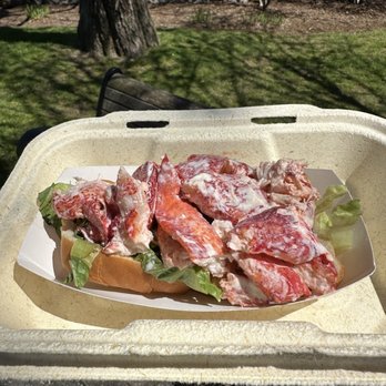 Tim Rich's The Independent Cafe - Lobster roll - Coffee & Tea Near Me - Bar Harbor, Maine Tim Rich's The Independent Cafe - Lobster roll - Coffee & Tea Near Me - Bar Harbor, Maine
