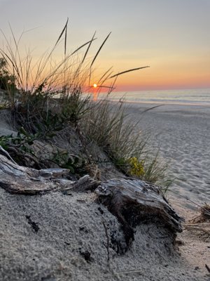 Indiana Dunes Visitor Center by null