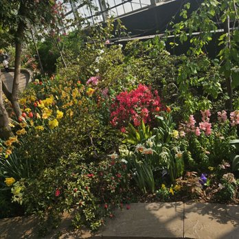 Garfield Park Conservatory - Flowers - Parks Near Me - Chicago, Illinois