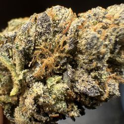 Brotherly Bud