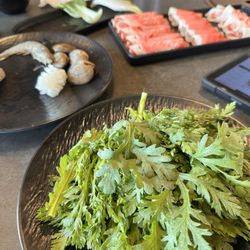 Hotpot Haven
