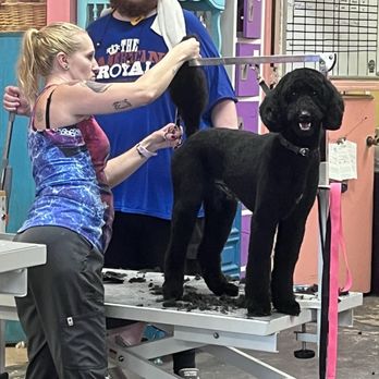 Hands To Paws - Tracy at work - Pet Groomers Near Me - Beverly Hills, Florida Hands To Paws - Tracy at work - Pet Groomers Near Me - Beverly Hills, Florida