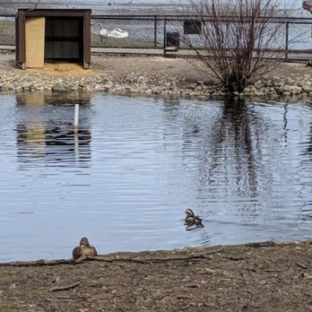 Kellogg Bird Sanctuary - Parks Near Me - Augusta, Michigan