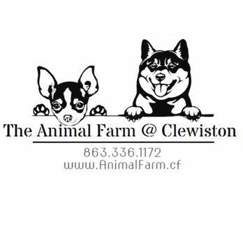 The Animal Farm - Pet Breeders Near Me The Animal Farm - Pet Breeders Near Me