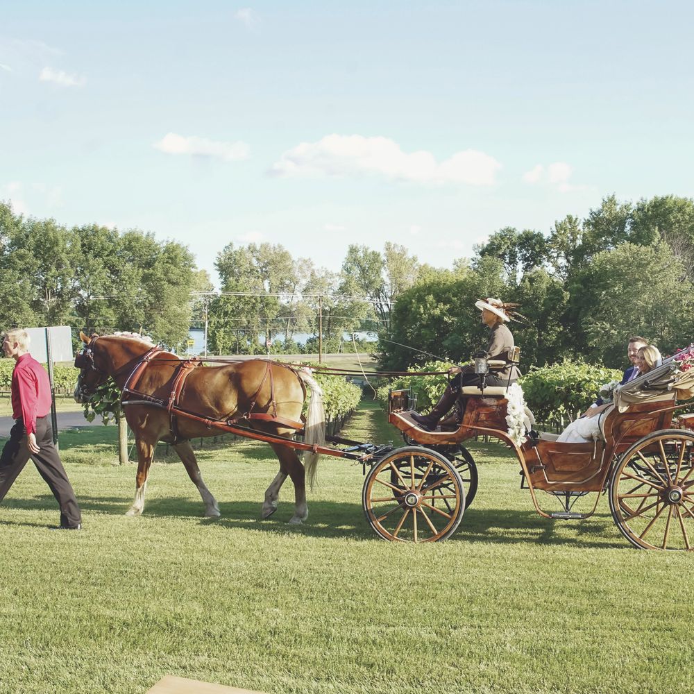 Winehaven Winery - My dad & I took the horse & carriage ride down to the ceremony site. After the ceremony, my husband & I rode off to have a private moment. - Wineries Near Me - Chisago City, Minnesota