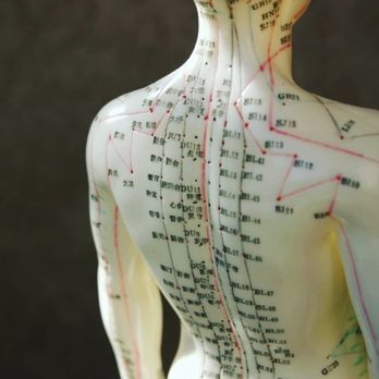 Kimberly Shaddox, MS, LAC - Ancient medicine with proven protocols - Acupuncture Near Me - Deer Park, Washington Kimberly Shaddox, MS, LAC - Ancient medicine with proven protocols - Acupuncture Near Me - Deer Park, Washington