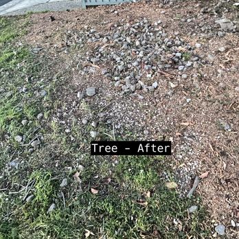 Rivas Tree Services - Tree Services Near Me Rivas Tree Services - Tree Services Near Me