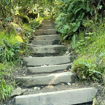 Steep Ravine Trail - Many steps like these - Hiking Near Me