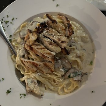 Vieni Ristobar - Tagliatelle W Mushrooms - Bars Near Me - Holly Springs, North Carolina Vieni Ristobar - Tagliatelle W Mushrooms - Bars Near Me - Holly Springs, North Carolina