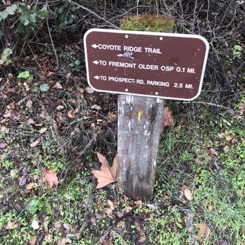 Fremont Older Open Space Preserve - Parks Near Me - Saratoga, California Fremont Older Open Space Preserve - Parks Near Me - Saratoga, California