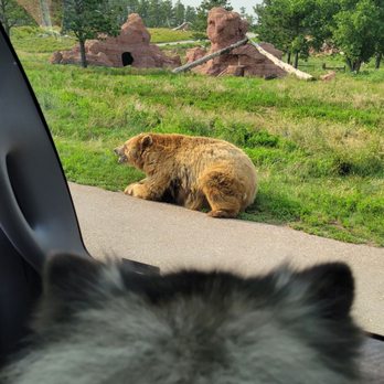 Bear Country USA - Zoos Near Me - Rapid City, South Dakota