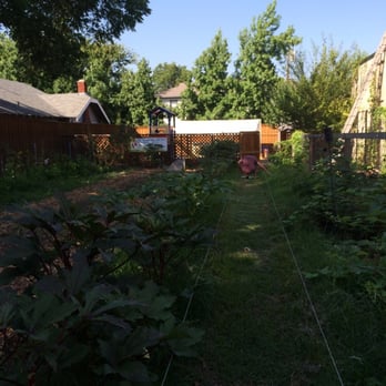 Garden Cafe - Tending to the garden. - Breakfast & Brunch Near Me - Dallas, Texas Garden Cafe - Tending to the garden. - Breakfast & Brunch Near Me - Dallas, Texas