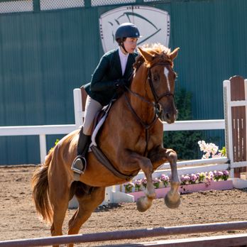 Brookside Equestrian Park - Pet Services Near Me - Elk Grove, California