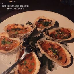 Oysters