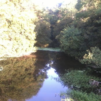 Greenwood Community Park - Greenwood in the morning - Parks Near Me - Baton Rouge, Louisiana