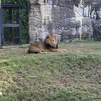 Cameron Park Zoo - Zoos Near Me - Waco, Texas Cameron Park Zoo - Zoos Near Me - Waco, Texas