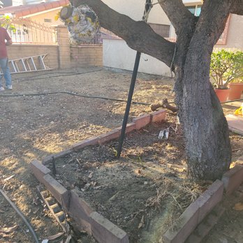 Ambitious Loyalty Landscaping - Picture 2 of 2 After clean-up - they cut-down the macadamia nut tree and hauled away. - Landscaping Near Me - Chula Vista, California Ambitious Loyalty Landscaping - Picture 2 of 2 After clean-up - they cut-down the macadamia nut tree and hauled away. - Landscaping Near Me - Chula Vista, California