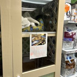 St Augustine Animal Clinic - Monkey in his house