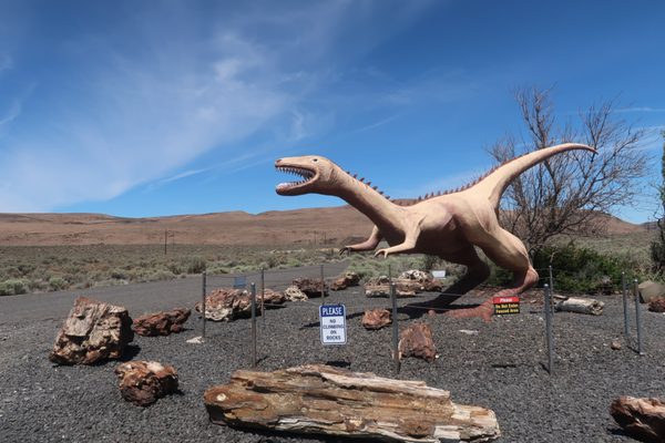 Wanapum Recreation Area by null