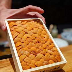 Joyce's Sushi - Best Japanese uni at town