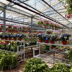 The Glass Greenhouse & Farm Market