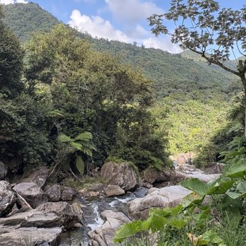 Casa Cubuy Ecolodge - Bed & Breakfast Near Me - Río Blanco, Puerto Rico
