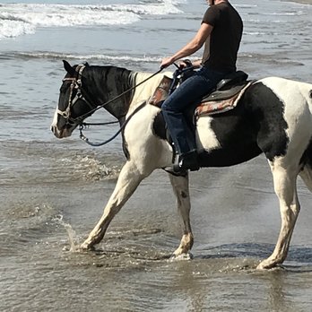 Summerland Beach Rides - Horseback Riding Near Me Summerland Beach Rides - Horseback Riding Near Me
