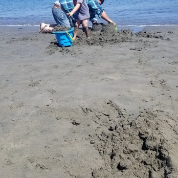 Doran Regional Park - Playing on the beach - Parks Near Me - Bodega Bay, California Doran Regional Park - Playing on the beach - Parks Near Me - Bodega Bay, California
