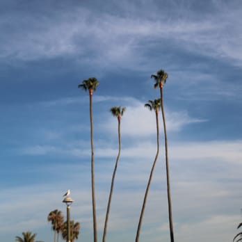 Heisler Park - Parks Near Me - Laguna Beach, California Heisler Park - Parks Near Me - Laguna Beach, California