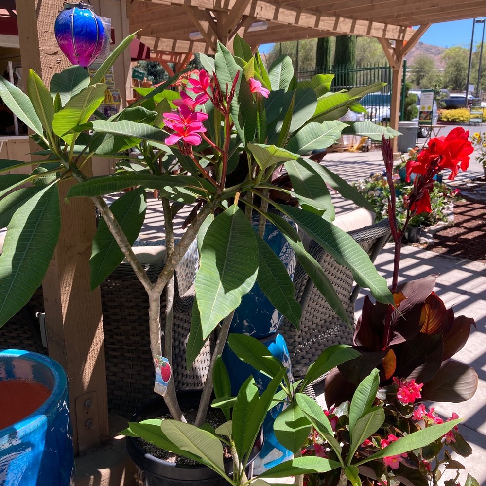 Armstrong Garden Centers - Nurseries & Gardening Near Me - Thousand Oaks, California Armstrong Garden Centers - Nurseries & Gardening Near Me - Thousand Oaks, California