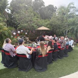 Dinner in the backyard