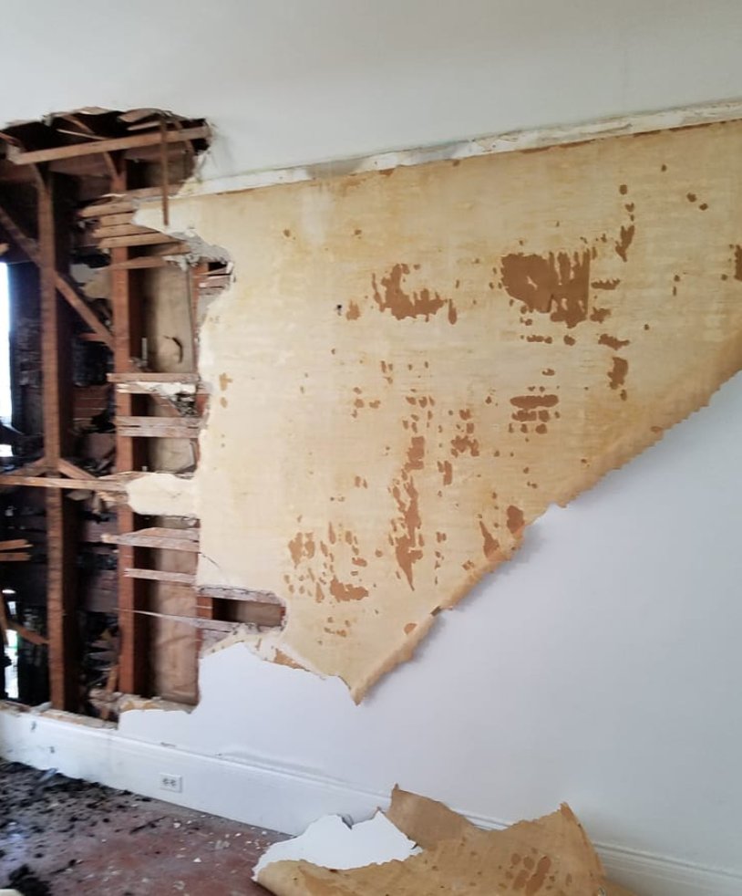 Elite Environmental Consulting of Southern California - mold inspector in San Diego, CA