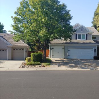 Matthew Paul's Tree Care - After the trim. - Tree Services Near Me