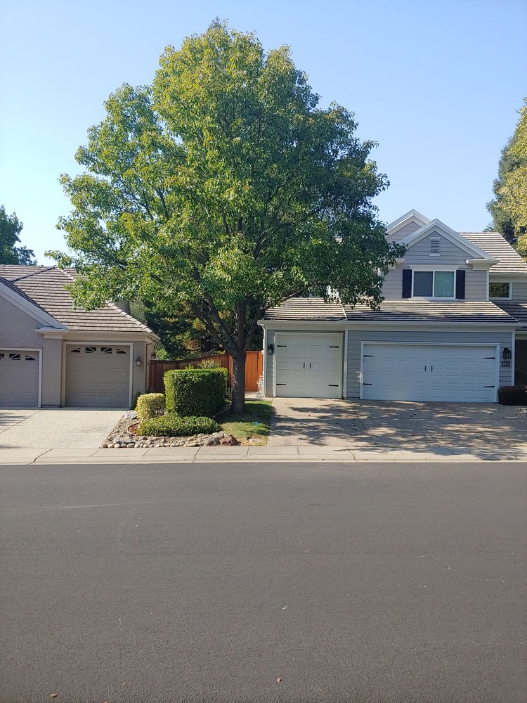 MATTHEW PAUL’S TREE CARE Updated September 2024 16 Photos Mather