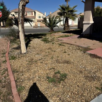 Top Notch Lawn Care - Weed overgrowth before Top Notch took care of the problem - Landscaping Near Me Top Notch Lawn Care - Weed overgrowth before Top Notch took care of the problem - Landscaping Near Me