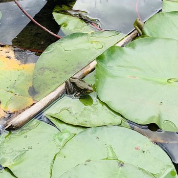 Rouge National Urban Park - Parks Near Me - Markham, Ontario Rouge National Urban Park - Parks Near Me - Markham, Ontario