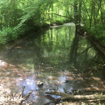 Sally Ormsby Park - View from the trail - Hiking Near Me - Fairfax, Virginia Sally Ormsby Park - View from the trail - Hiking Near Me - Fairfax, Virginia