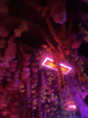 Happyfun Hideaway by null