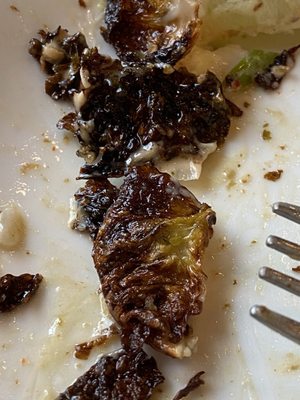 Alpenglow Restaurant by null