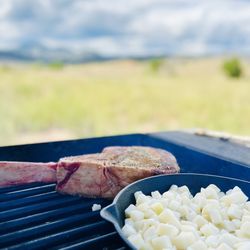 Chatfield State Park - Mt. Brunch