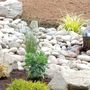 Photo of First Fruits Landscaping